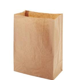 Popieriniai maišeliai ECO BAG 220