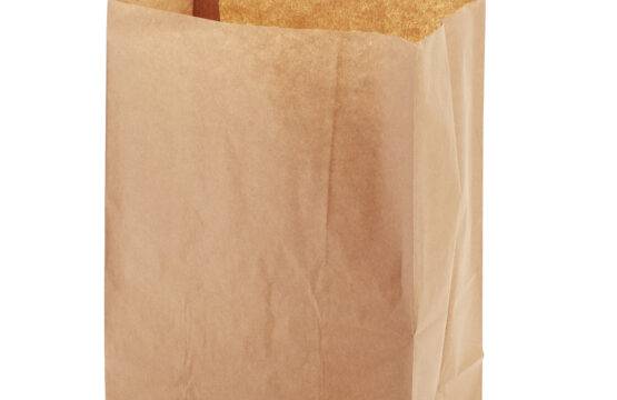 Popieriniai maišeliai ECO BAG 220